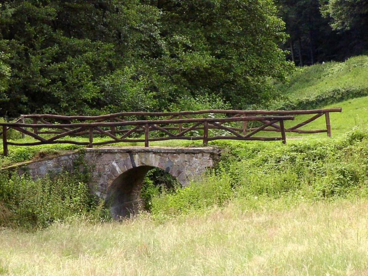Schoenblick - Gemuetlich Uebernachten! Ober-Hambach 外观 照片